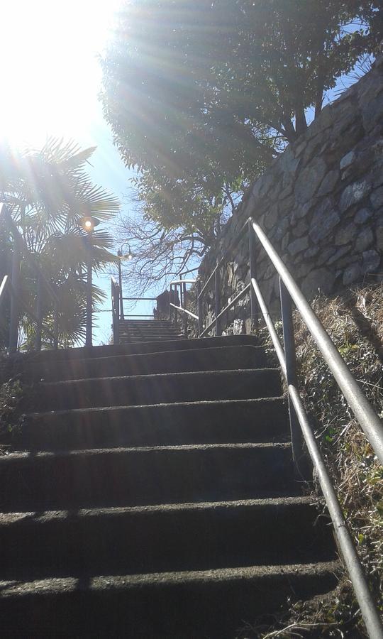 Il Nido Sul Lago Stresa Eksteriør billede